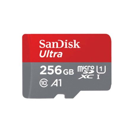 כרטיס זיכרון SANDISK 256GB